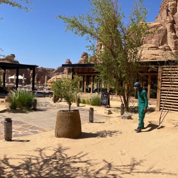 Pest Control at Habitas Alula