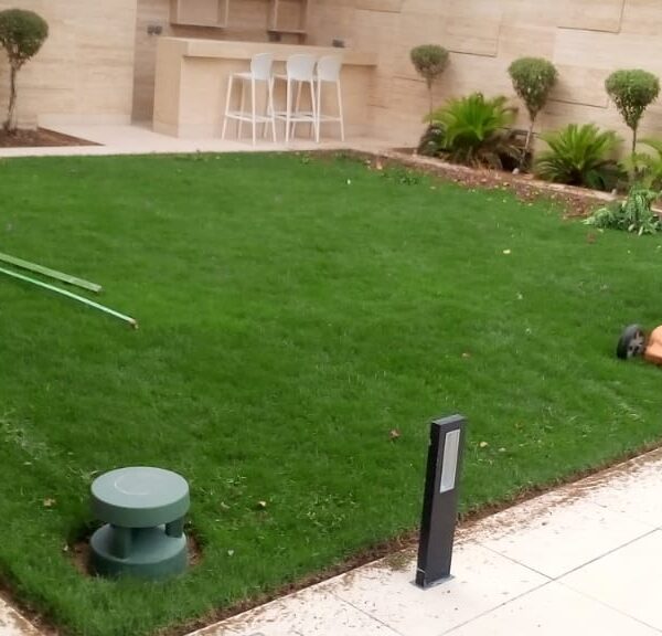 Pest Control at Habitas Alula